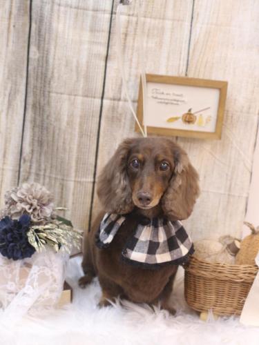 20241026ジョナくん